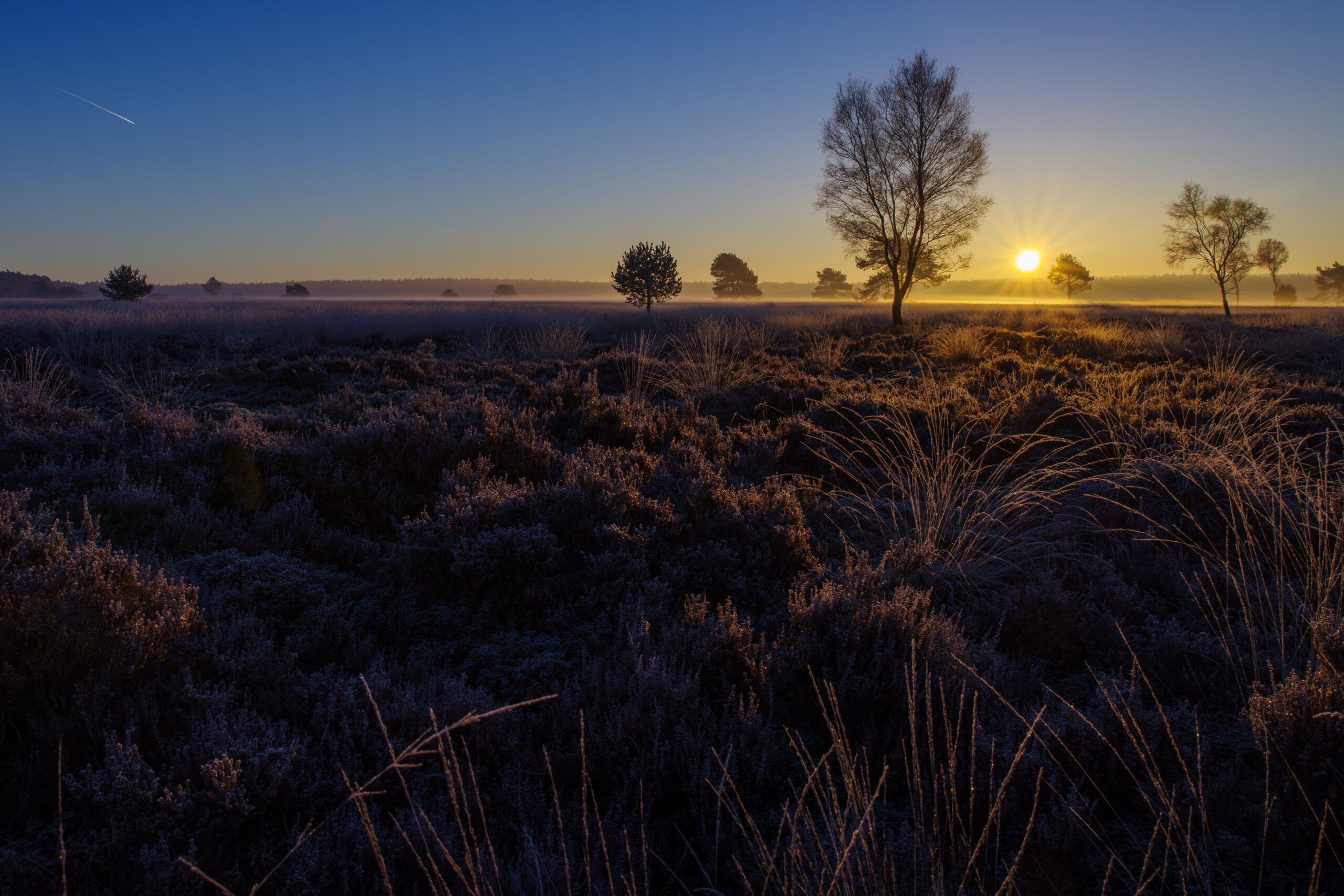 winter-moor